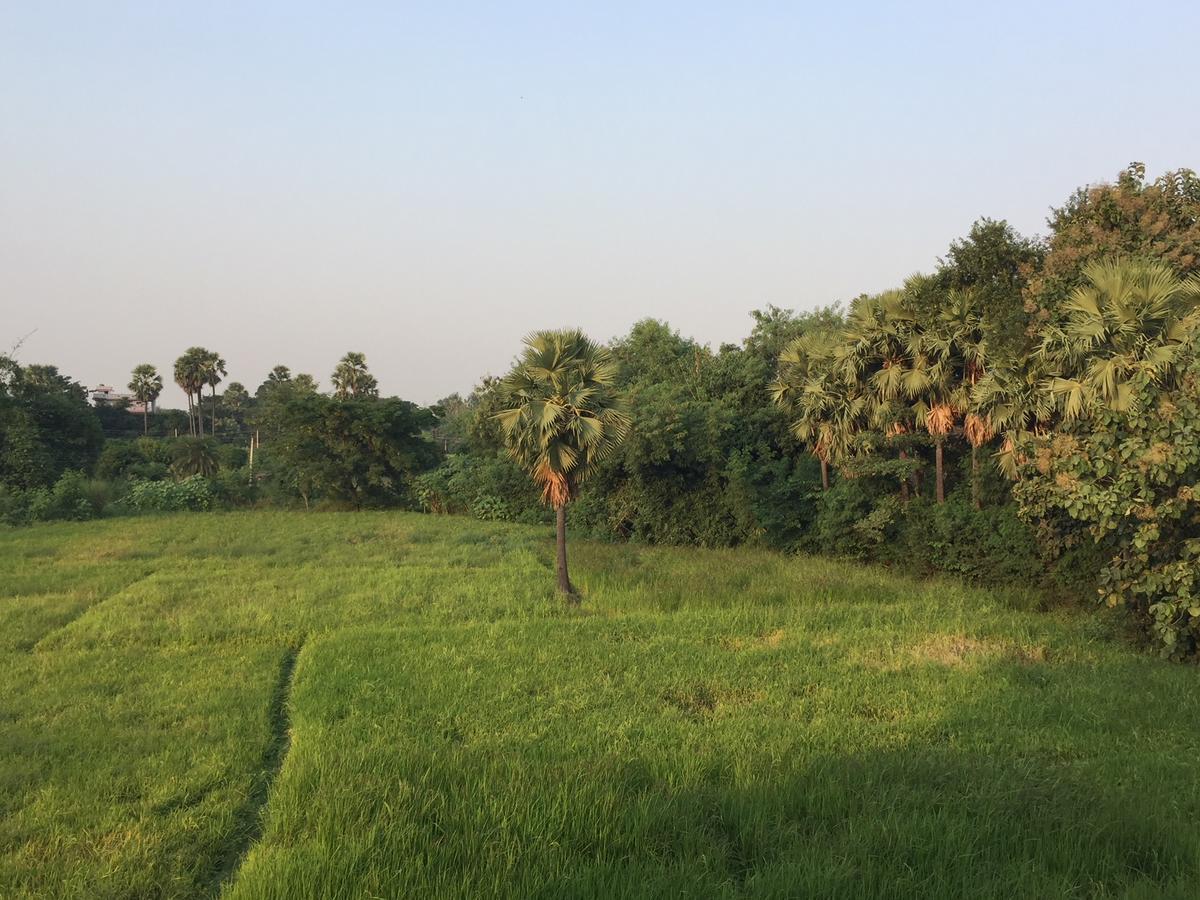 Sachi Home Bodh Gaya Exterior photo