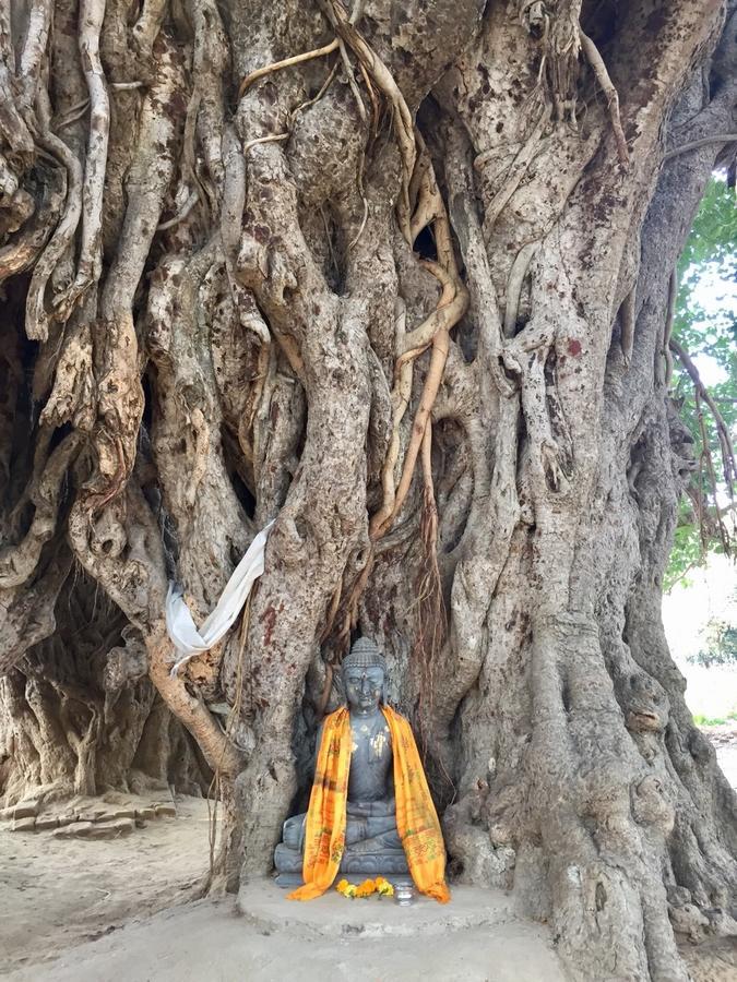 Sachi Home Bodh Gaya Exterior photo